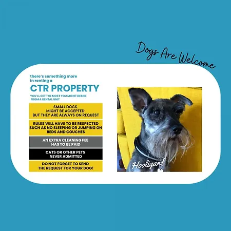 La Torretta Dei Merli With Unique Views 아파트