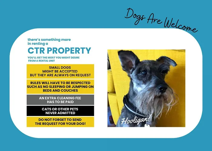 La Torretta Dei Merli With Unique Views Apartman